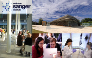 基因疗法 癌症药物敏感性基因组学（GDSC）癌症治疗基因组数据 维康桑格研究所（Wellcome Sanger Institute）