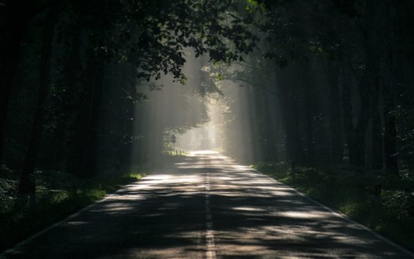 Environment
