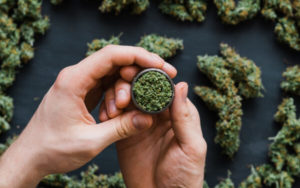 大麻行業融資和幷購 Viridian Capital Advisors