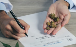 娱乐大麻合法化