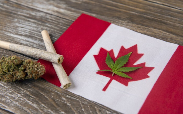 加拿大大麻股 Aphria 每股收益預期