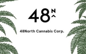 大麻政策