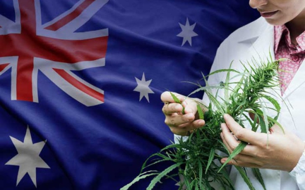 堪培拉通过大麻合法化法案