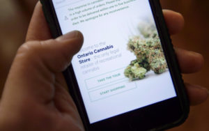 大麻2.0时代