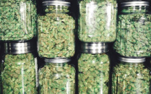 大麻股