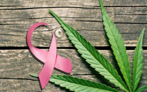 药用大麻