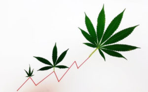 大麻REIT