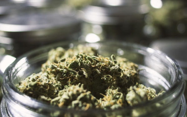 北美大麻行业