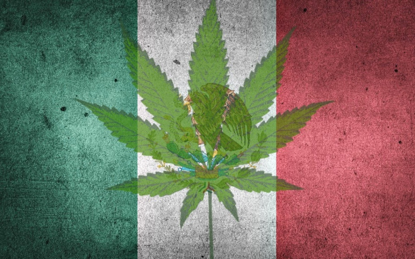 墨西哥大麻合法化