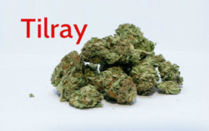加拿大大麻股