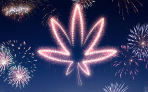 大麻投资