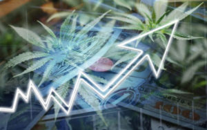 大麻股