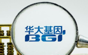 中国华大基因 阿联酋基因组计划