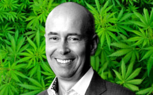 全球最大大麻公司