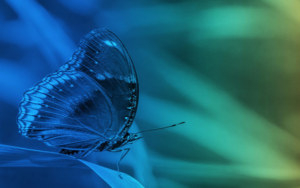 Innovative Cellular Therapeutics ICT