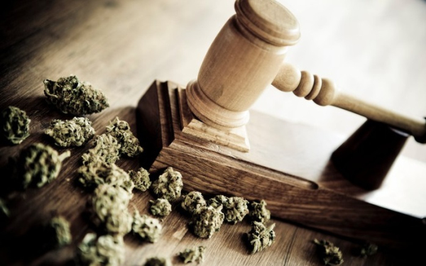 大麻行业