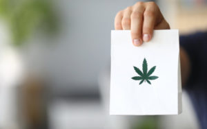 加拿大大麻种植商