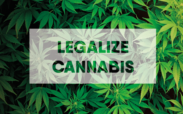 北美大麻合法化