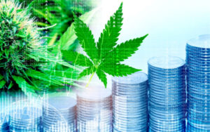 加拿大大麻股