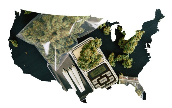投资美国大麻
