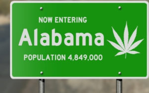 北美大麻行业