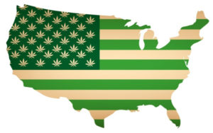 美国各州合法大麻行业