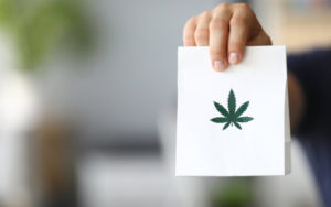 大麻股