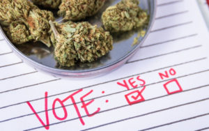 药用大麻法案