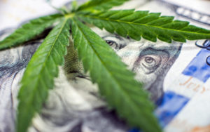 大麻股