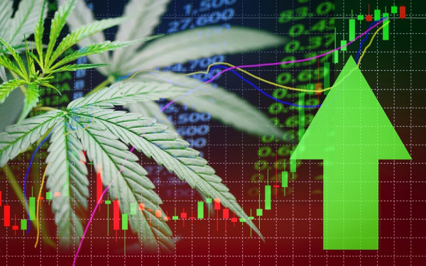 大麻股