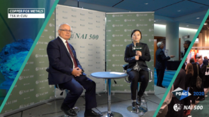 PDAC2020 nai500_Copper Fox