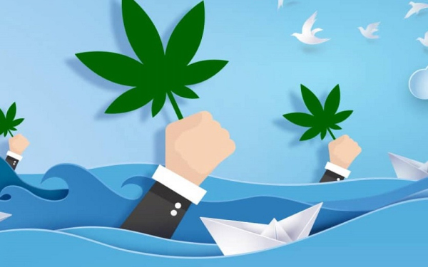 大麻公司