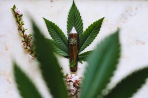 工业麻投资