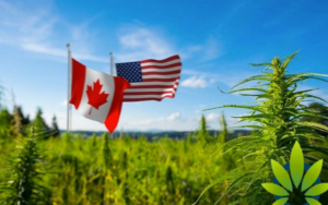 医疗保健精选——Aurora Cannabis借收购进军美国市场，Inovio发表COVID-19疫苗数据，股价上涨