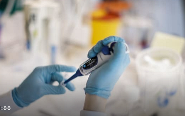新冠疫苗将在年底上市，辉瑞和BioNTech启动人体试验