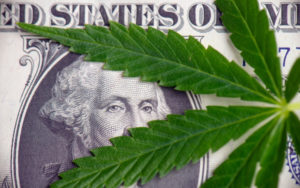加拿大大麻股