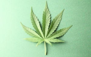 大麻股