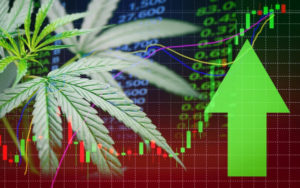 大麻股