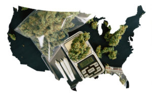 大麻零售