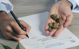 药用大麻