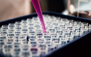 Life Science, Healthcare, Pharmaceutical, Biotech