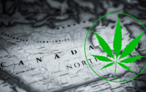 加拿大大麻股