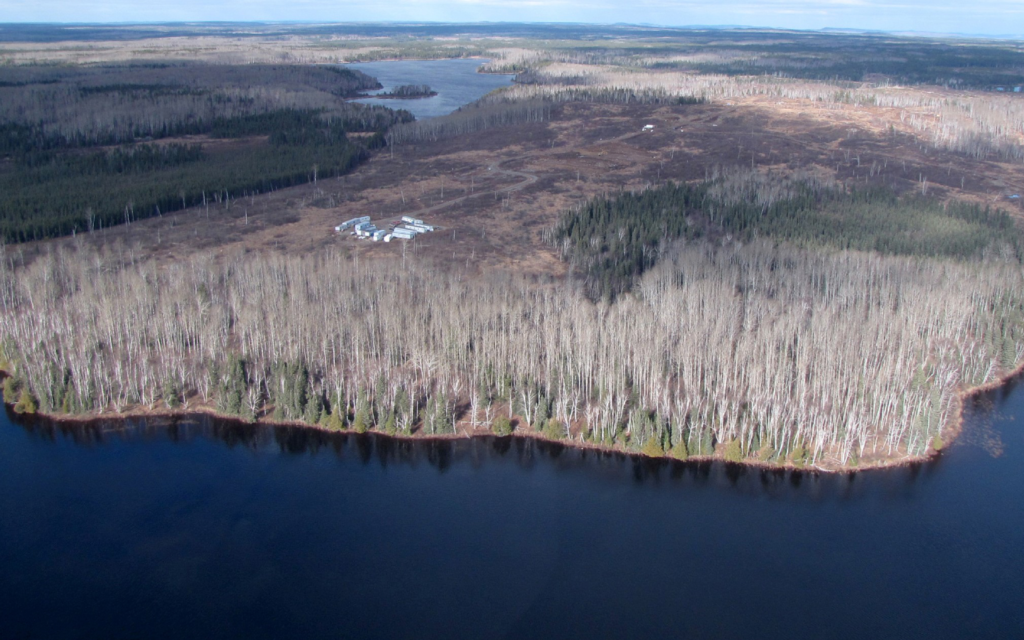 探寻新能源汽车所需金属| NAI 500