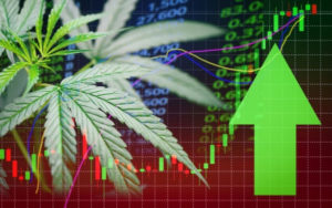 加拿大大麻股