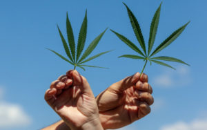 大麻行业并购