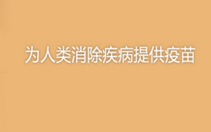 科兴生物在土耳其启动新冠疫苗三期临床试验
