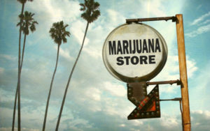 合法大麻