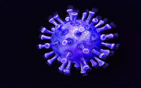 最高卫生官员：新冠病毒“群体免疫不是美国政府的策略”