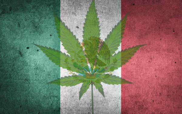 墨西哥的大麻合法化对canopy Growth这只大麻股意味着什么 Nai 500