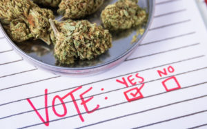 大麻合法化